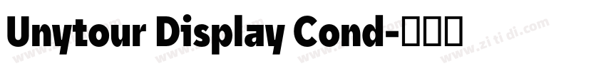 Unytour Display Cond字体转换 Unytour Display Cond字体转换